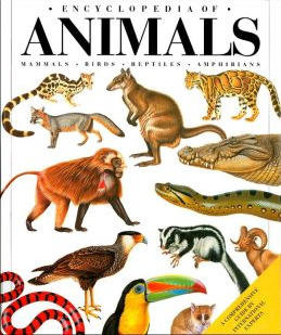 animal-encyclopedia