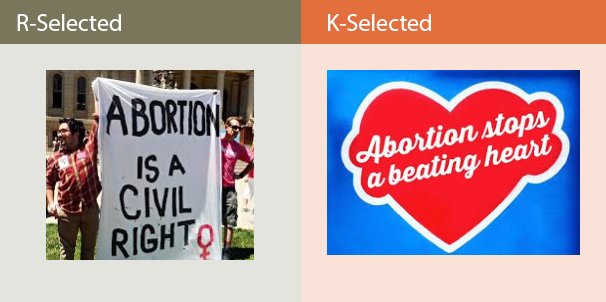 rk-selection-abortion